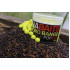 Dna pop up Pb's 10mm