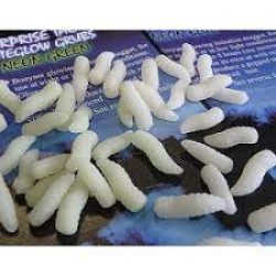 Enterprise niteglow Grubs small NEON GREEN