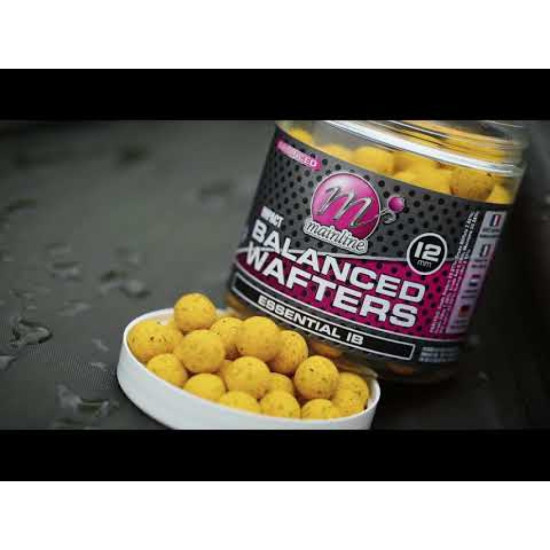 Mainline wafter Essential IB 12mm