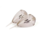 Fox Bolt Bubbles L -2 per pack