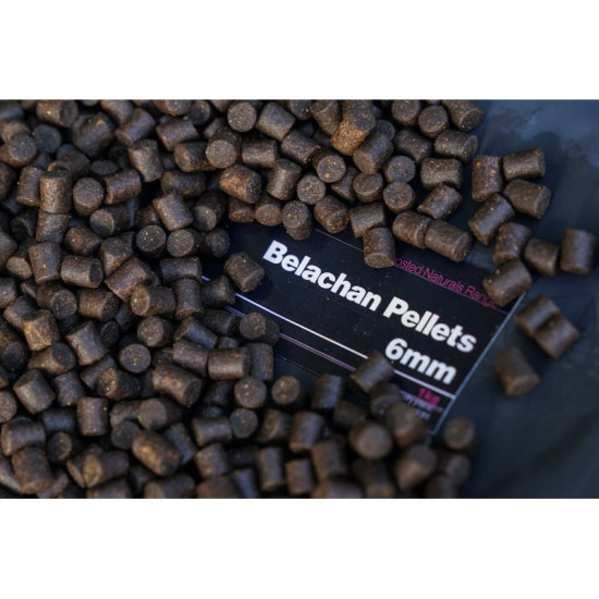 CC moore pellet Belachan 6mm