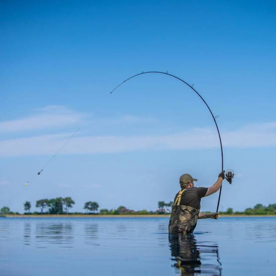 Avid Revolve 10ft 3.5lbs