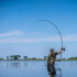 Avid Revolve 10ft 3.5lbs