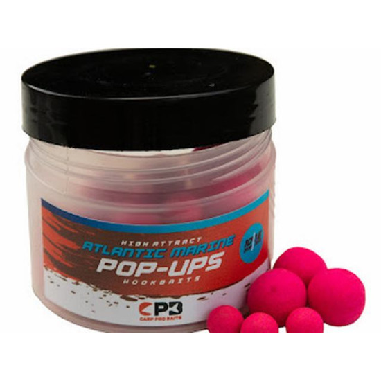 Carp pro pop up atlantic marine