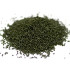 Hobolife pellet- Elite green betaine Specimen 101-Colbz