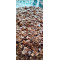 Hobolife insta peanut 1kg
