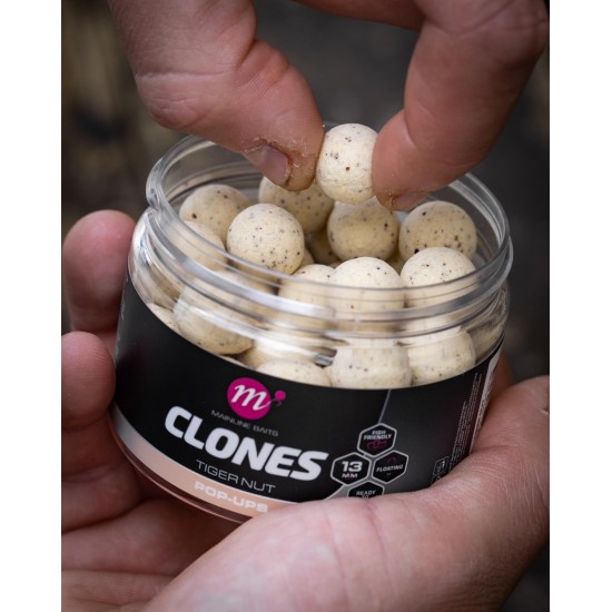 Mainline Clones Tigernut pop up