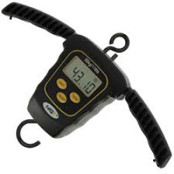 Ngt scale Dynamic Digital