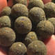 Rich baits Pistatio 18mm