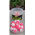 Specimen pop up shellfish 15mm
