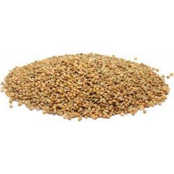 Vita Carp Bird seed- fine