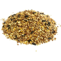 Vita Carp Bird seed mix 1kg- Course