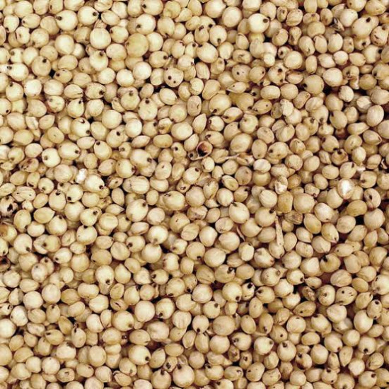 Vita Carp Sorghum White 1kg