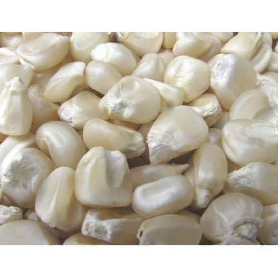 Vita Carp white maize 1kg