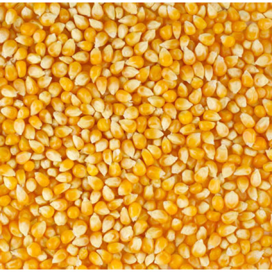 Vita Carp Yellow maize 1kg